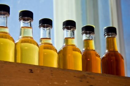 Maple Syrup Bottle in different grade.