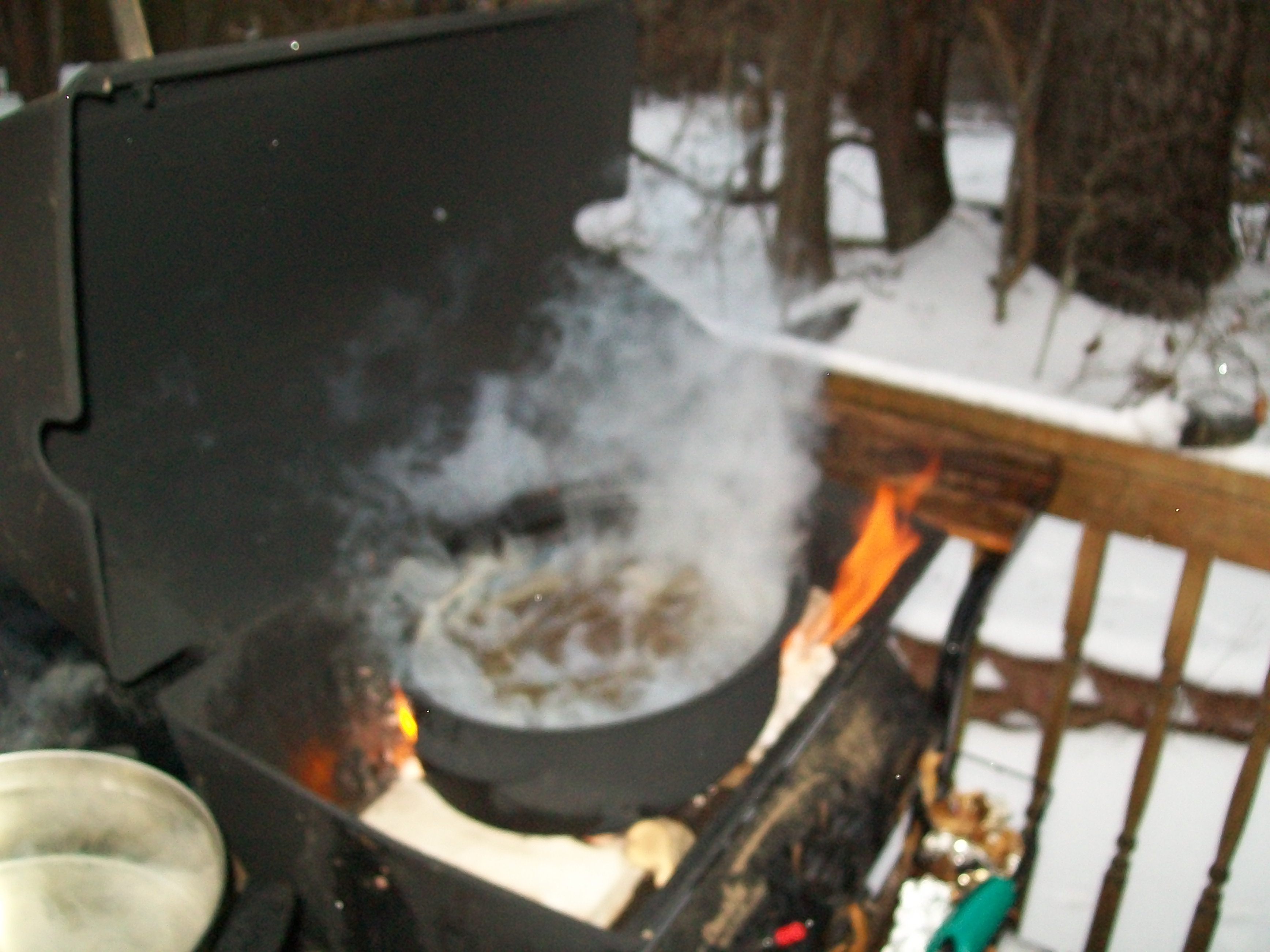 maplesyrupexperiment3.jpg